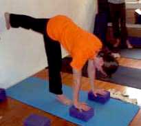 Citrini in Extended Monkey at the wall