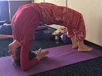 Citrini in Forearm Wheel